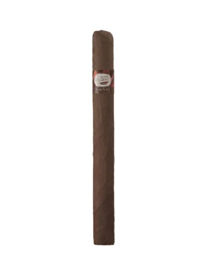 Tatiana Cognac-02